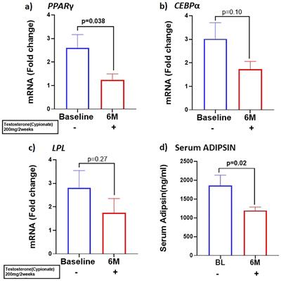 A PRDM16-driven signal regulates body composition in testosterone-treated hypogonadal men